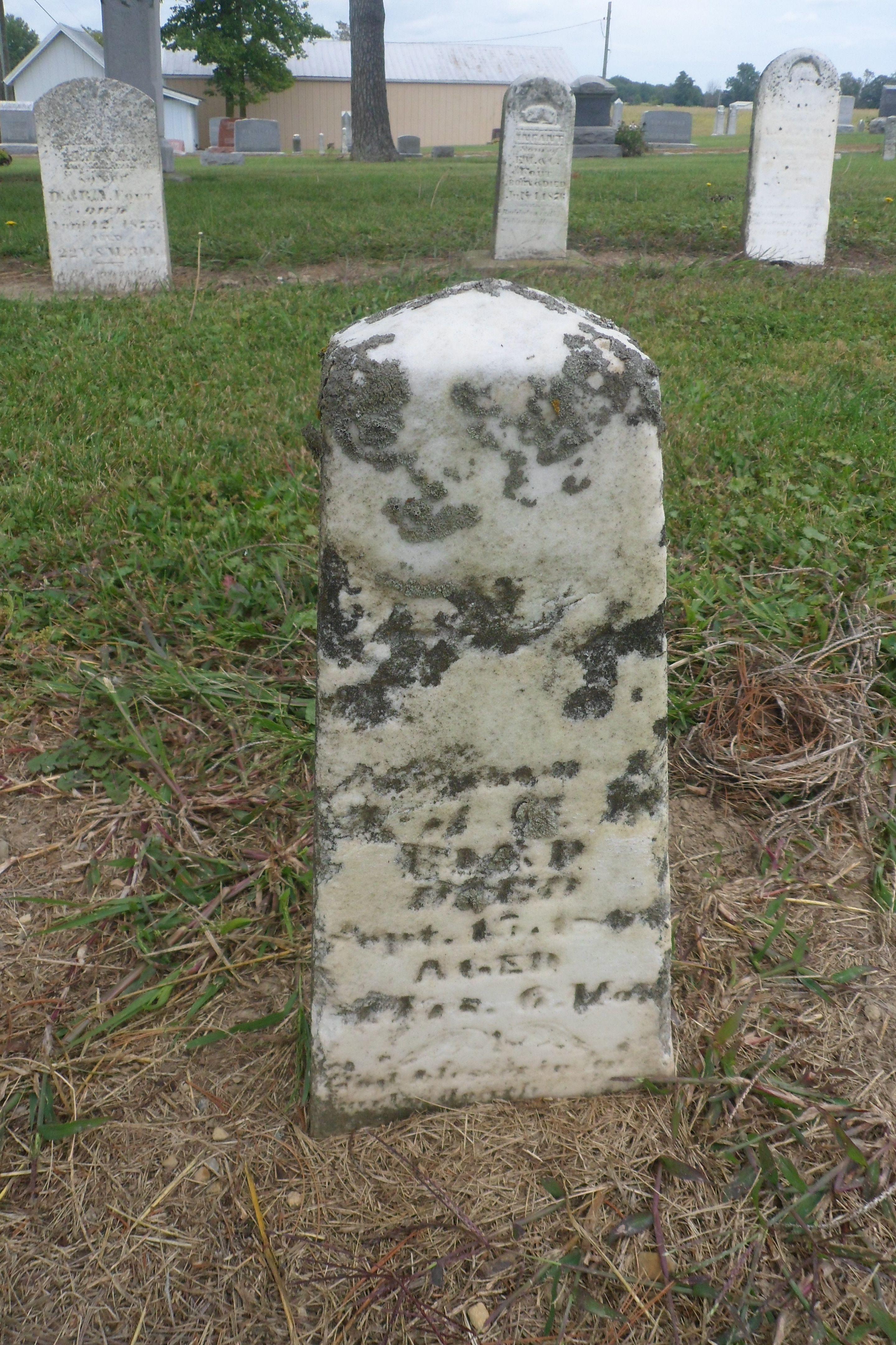 Gravestone of Ann P. Bird