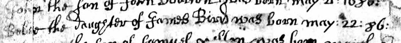 Birth record of Bebee Bird