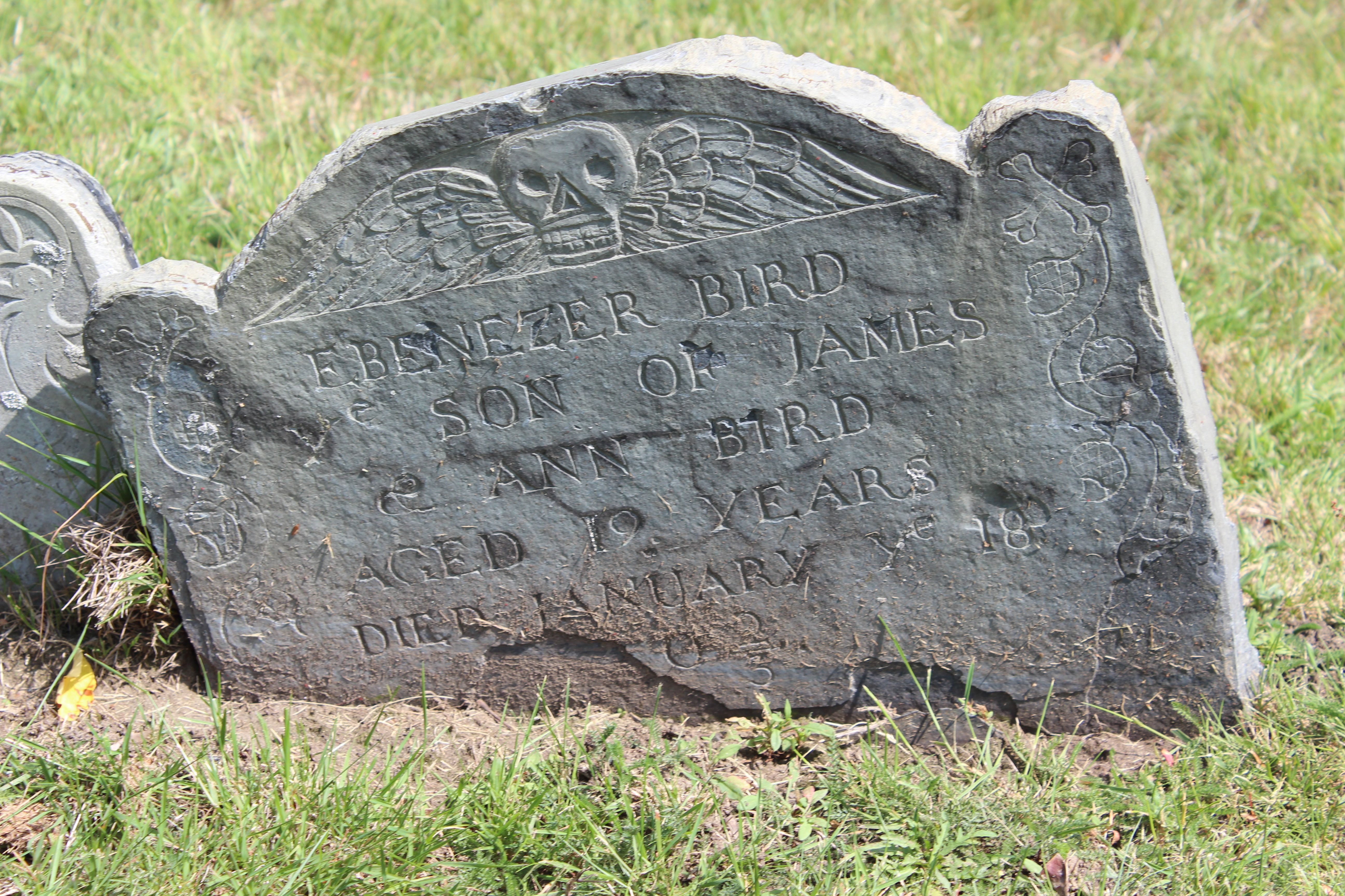 Gravestone of Ebenezer Bird