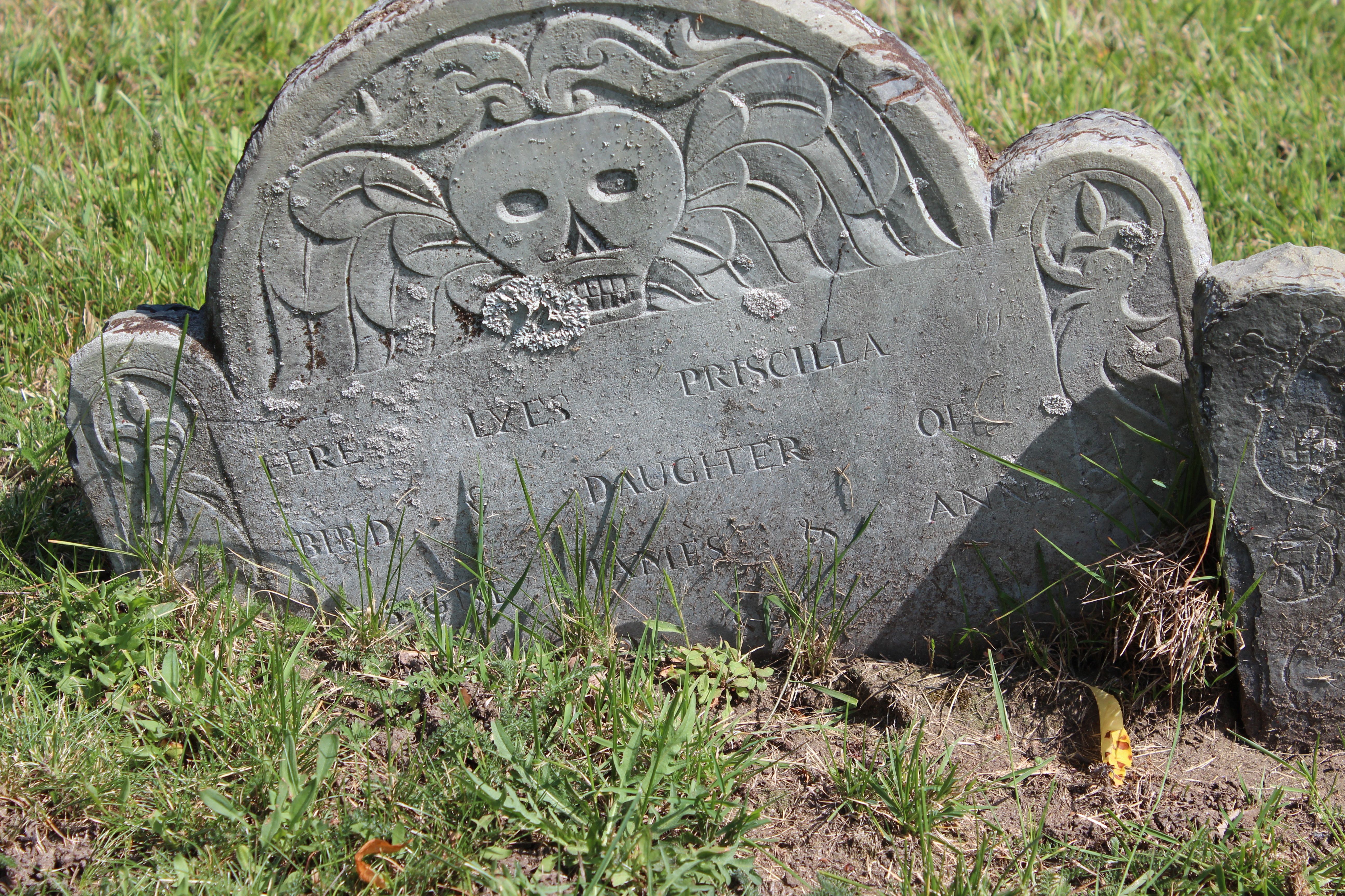 Gravestone of Priscilla Bird