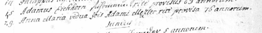 Death record for Anna Maria Mezler