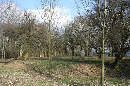 Traces of the outer bailey of the first castle of the Bickenbach family